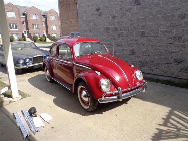 Classifieds for 1963 Volkswagen Beetle - 10 Available