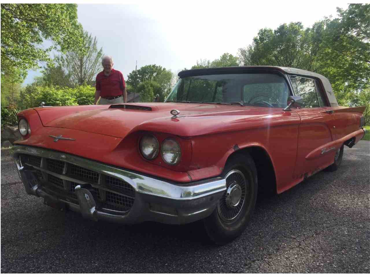 60 t bird for sale