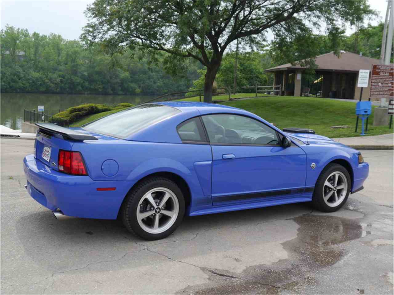 2004 Ford Mustang Mach 1 for Sale | ClassicCars.com | CC-997717